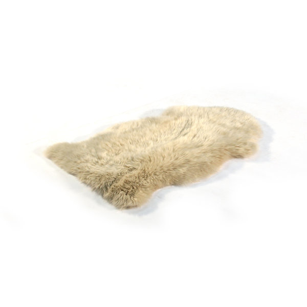 Bowron Sheepskin Long Wool Gold Star Sheepskin Beige Rug Wayfair.co.uk